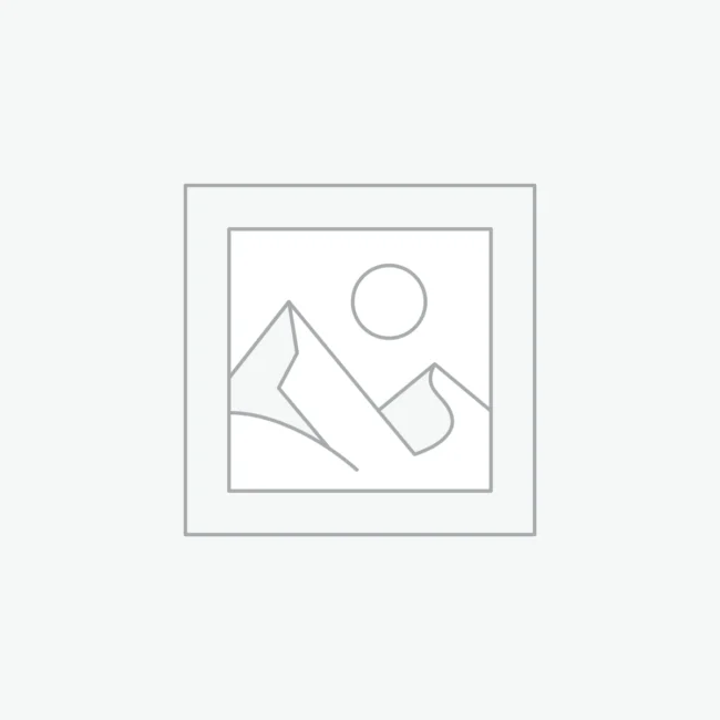 Aliquam erat volutpat